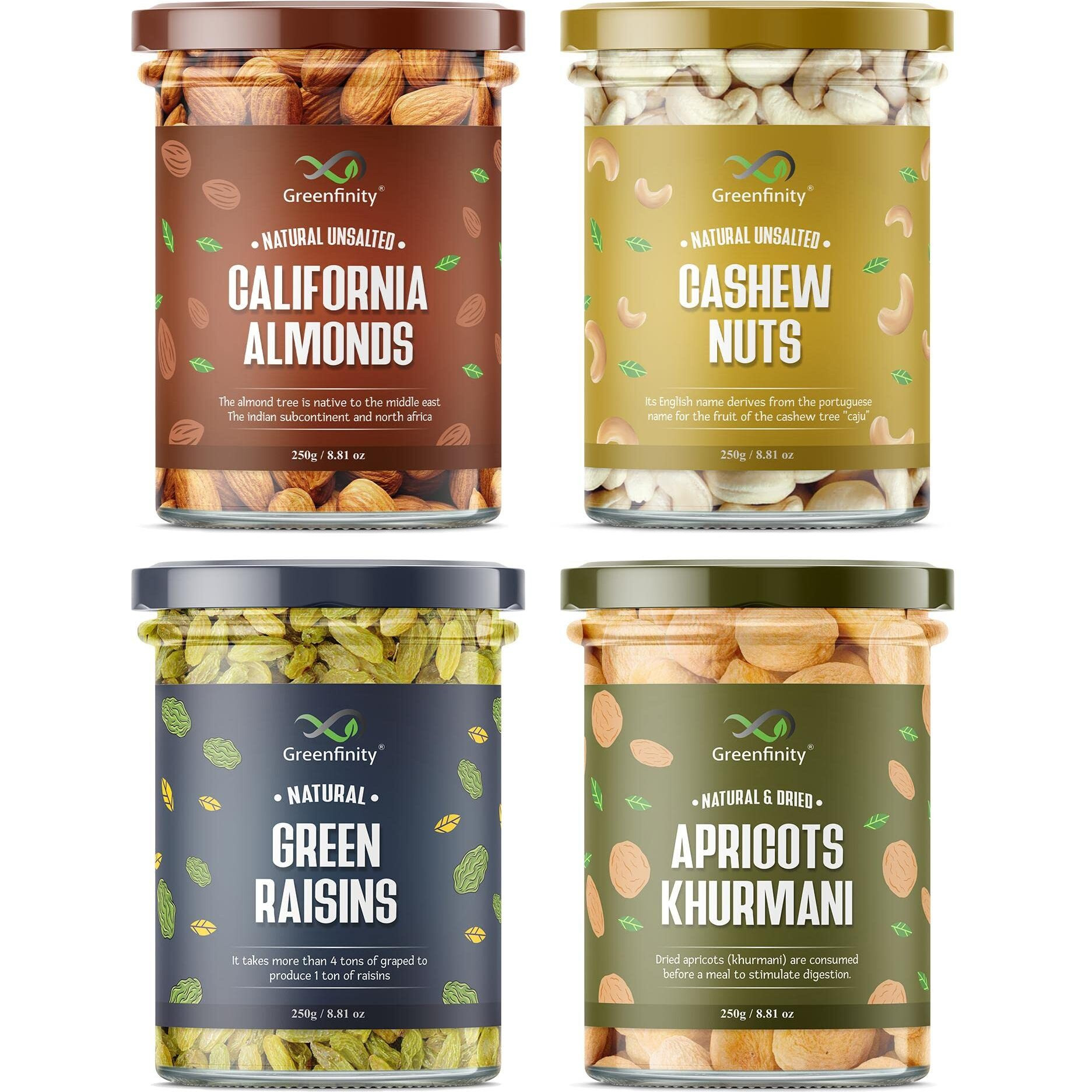 GreenFinity Mixed Dry Fruit (Almonds, Cashew Nuts, Green Raisin, Apricot - 250g (Pack of 4))