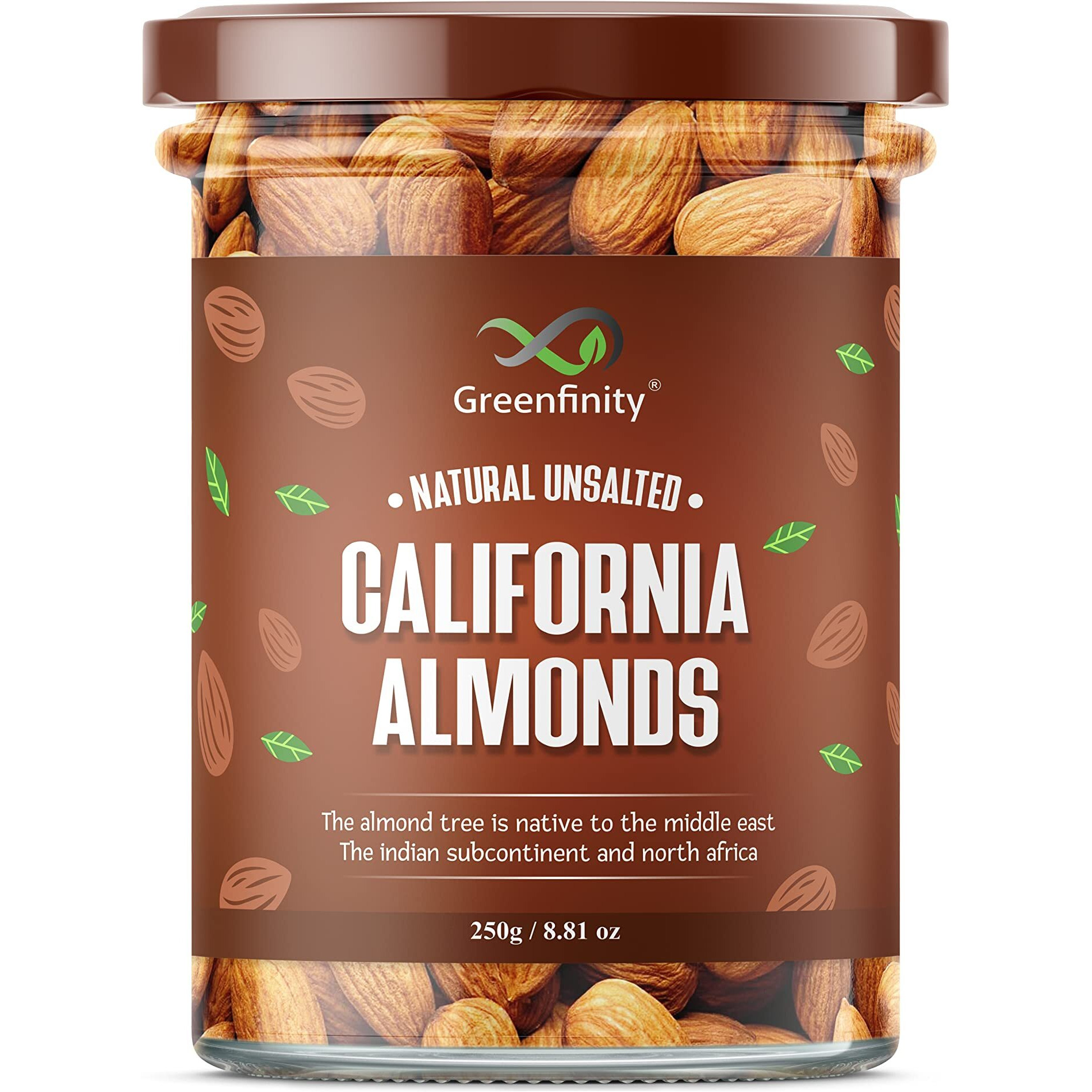 GreenFinity Mixed Dry Fruit (Almonds, Cashew Nuts, Green Raisin, Apricot - 250g (Pack of 4))