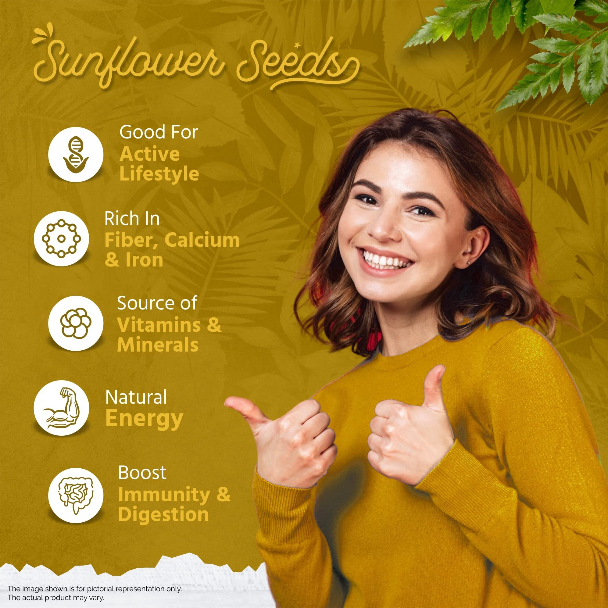 GreenFinity Healthy & Tasty Jumbo Sunflower Seeds for Eating | Immunity Booster Diet | Protein and Rich in Fibre - 250 Gram