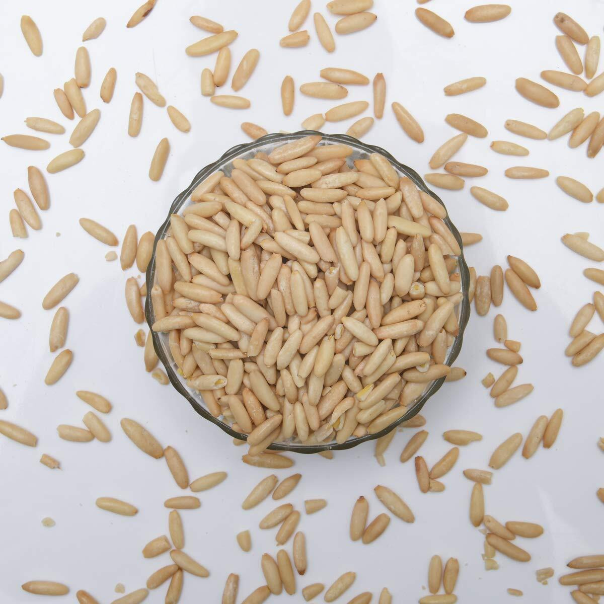 Dry Fruit Hub Pine Nuts without Shell 500gm Chilgoja,pine nuts chilgoza, Chilgoza Dry Fruits, Chilgoja In Dry Fruits Pack Of 500gm