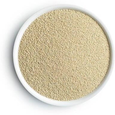 Ancy Yeast -100g