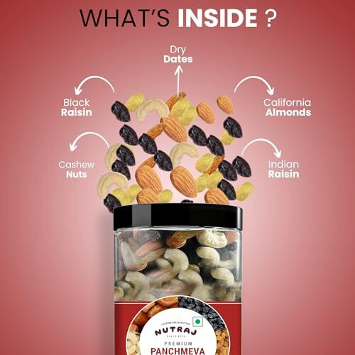 Nutraj Classic Mix Dry Fruits (Panch Meva) in Jar 500g | A Nutritious Blend of Dry Dates, Black Raisins, Raisins, Cashew Nuts & California Almonds | Trail Mix Healthy Snacks