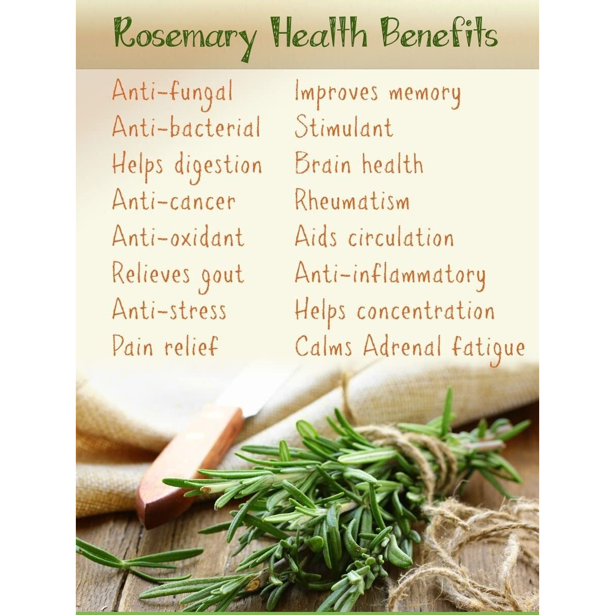 Indiana as offered by nature Rosemary Dried Leaves With Applicator For Hair Growth | Rosemary Herb Tea | Organic | Natural 50Gm