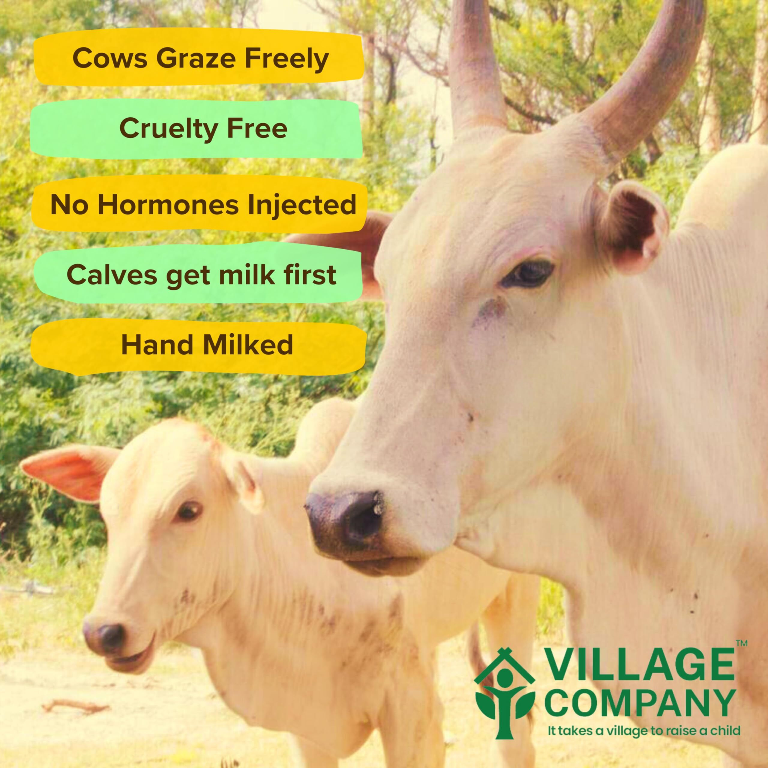 Village Company A2 Bilona Desi Cow Ghee | Bilona Method | Premium, Organic, Traditional | Grass Fed | Kangayam Cow | Lab-Certified | 1 Ltr (Pack Of 5)