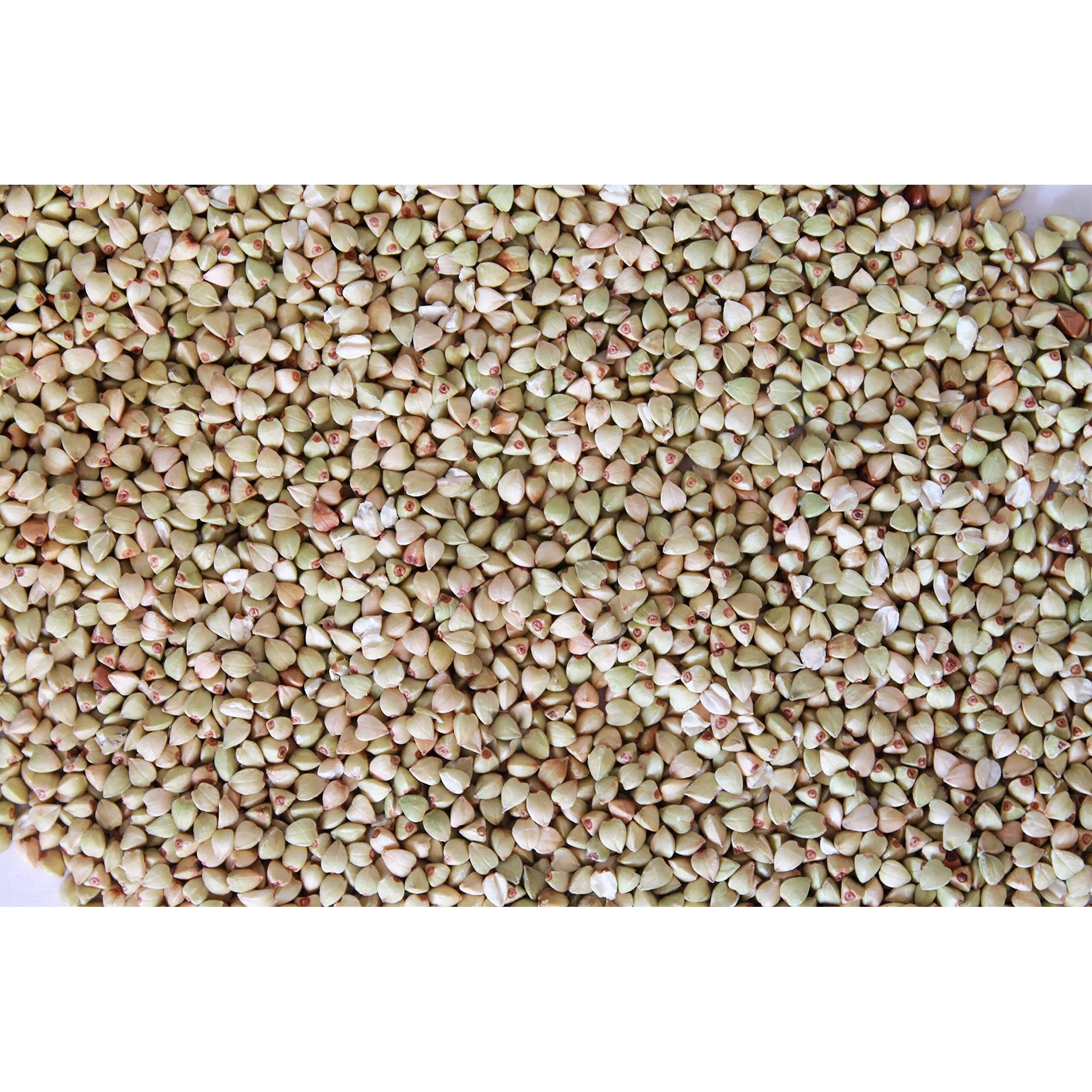 NutriBuck Buckwheat Groats | Hulled | Kuttu-Giri | Gluten-Free (0.900 KG)