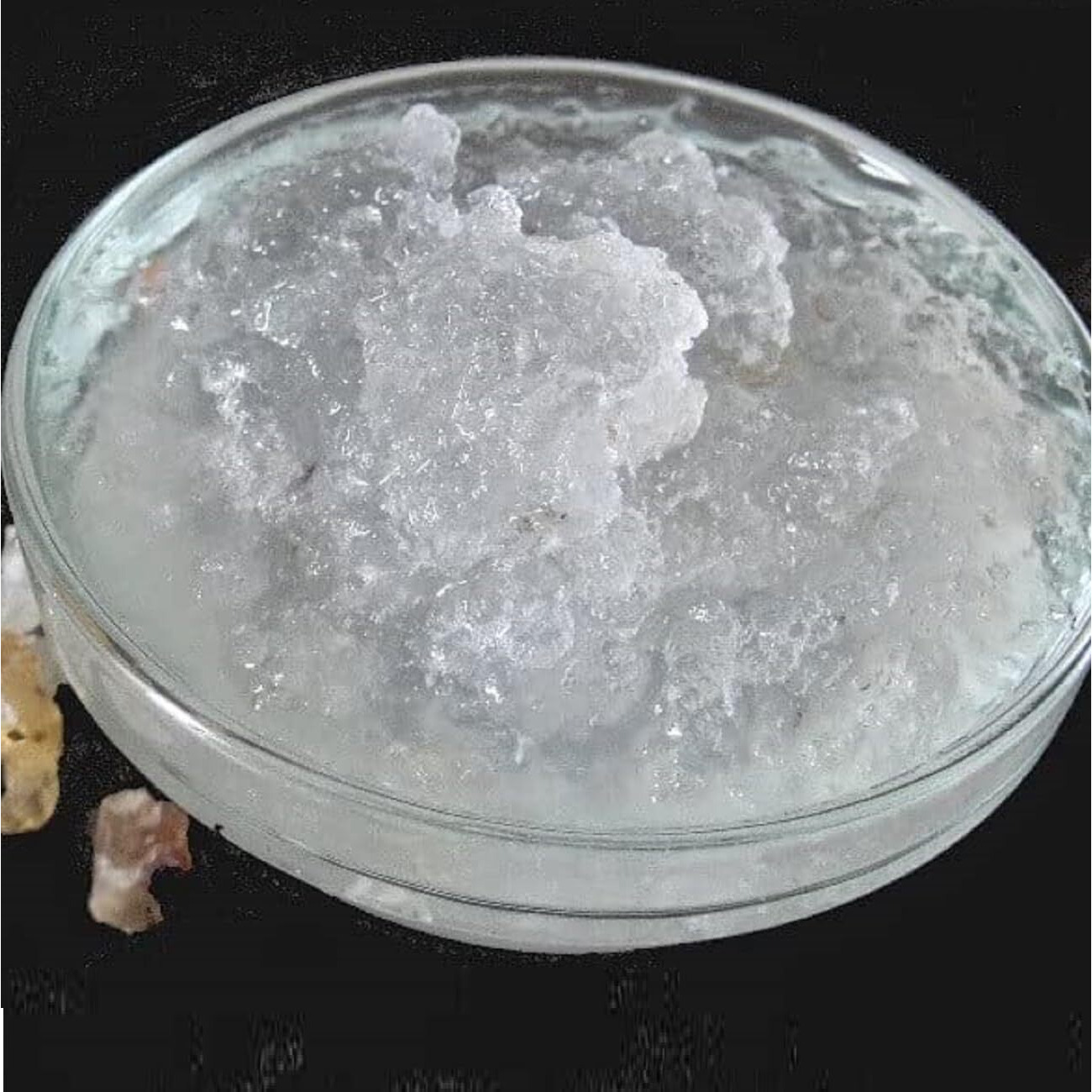 Agrogreen Gond Katira 100% Pure And Nutural - Tragacanth Gum High Cooling Properties - Edible Gond Katira - (200 GM)