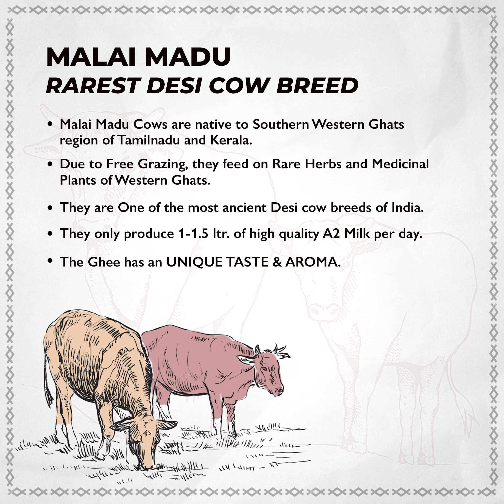 Le Organics A2 Cow Ghee 1000 Ml | Curd - Churned L 5 Step Vedic Process L Churning By Bilona | Malai Madu Cow - Pure Indian Breed | Free Grazing Cows | Gmo Free | | Lab Certified L Glass Bottle