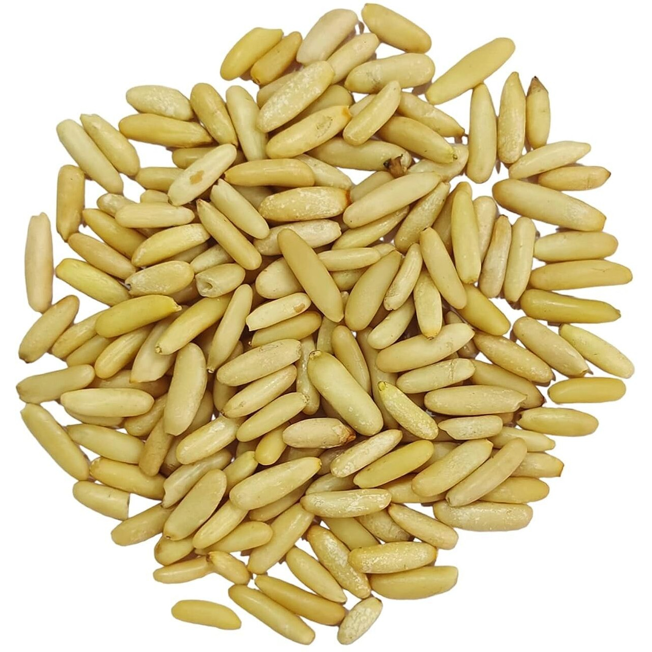 Dry Fruit Hub Pine Nuts without Shell,pine nuts chilgoza giri, Chilgoza Dry Fruits, Pine Nuts Dry Fruits (Chilgoza giri 100gm)