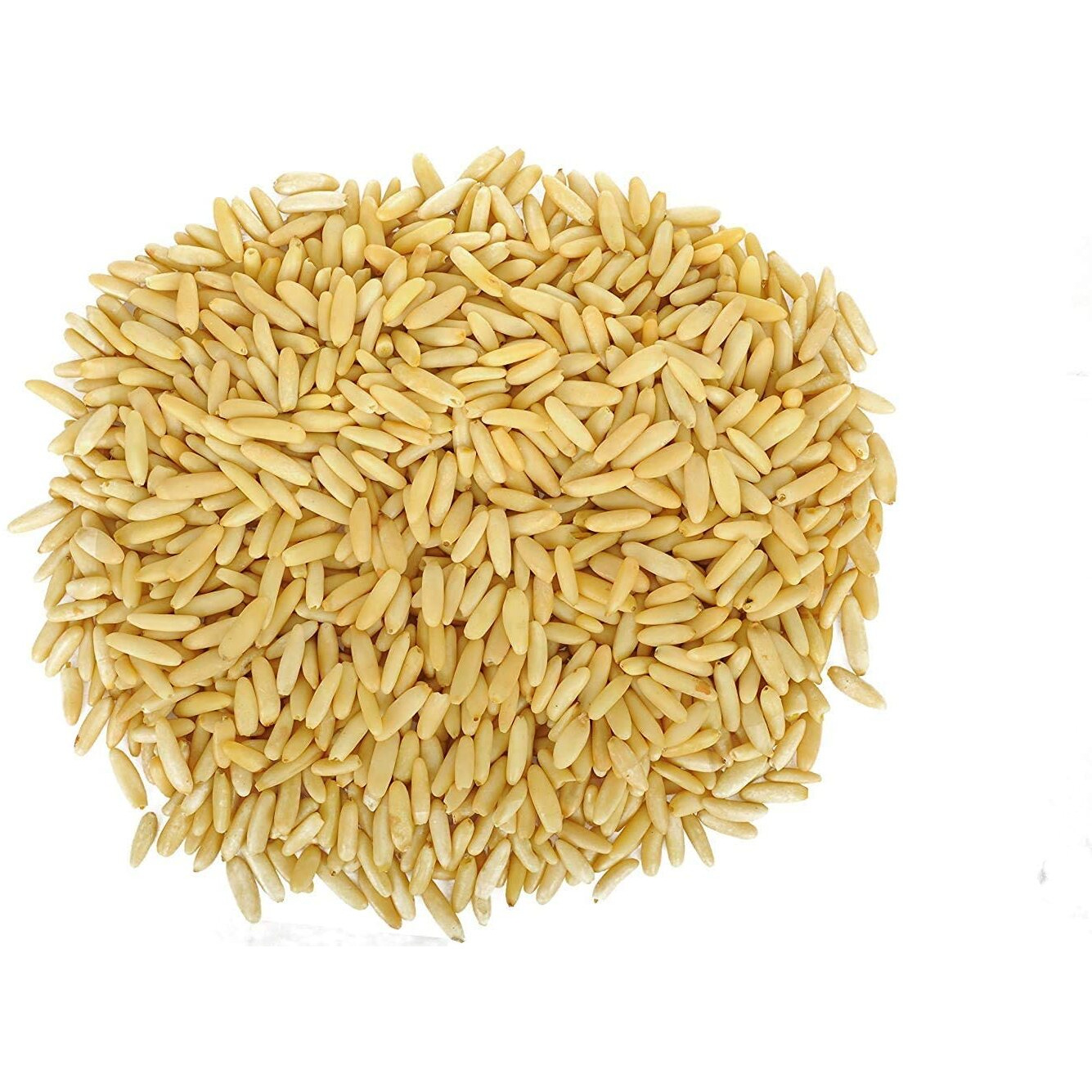 Dry Fruit Hub Pine Nuts without Shell,pine nuts chilgoza giri, Chilgoza Dry Fruits, Pine Nuts Dry Fruits (Chilgoza giri 100gm)