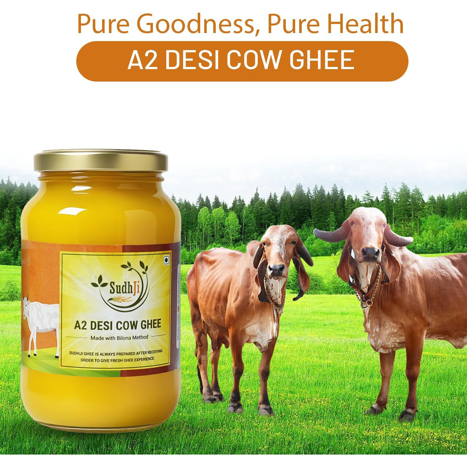 SUDHJI A2 Cow Desi Ghee 1 Litre Glass Bottle 100% Churned With Traditional Vedic Bilona Method Grassfed Premium Bilona Ghee Pack of 2