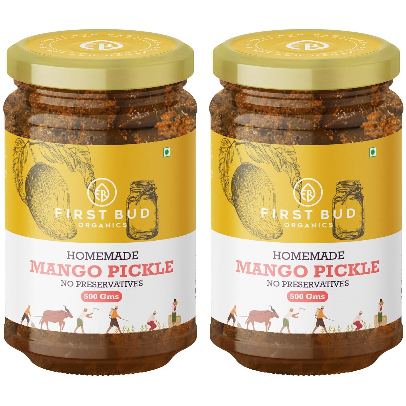 First Bud Organics Homemade Mango Pickle - 500gm x 2 | Authentic Indian Taste & Secret Rajashtani Receipe | Dry & Spicy Mango Pickle | Handmade With Fresh ingredients | Perfect For Meals & Snacks