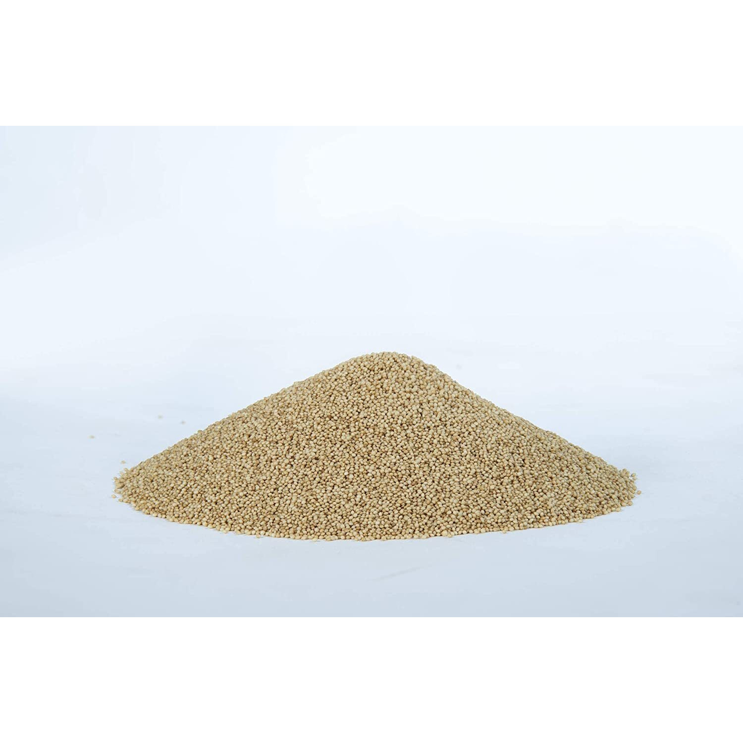 EarthRoot pack of 2 | Natural Amaranth Seed | Rajgira | Ramdana Seeds High Protein | Gluten-Free Grain for Healthy Cooking | Ancient Grain Superfood | 1 kg each