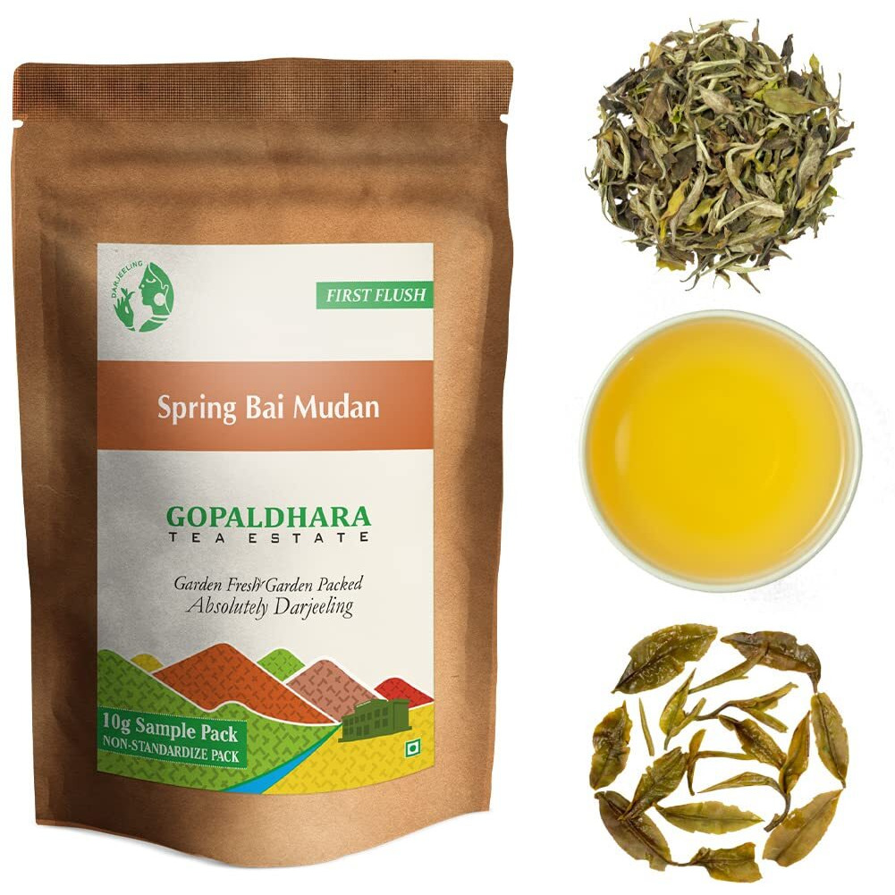 Gopaldhara Darjeeling Master Series Sample Pouches - Special FTGFOP1 Teas From Rohini Tea Estate Highest Elevation 7000 Feet (50g Sample Pouches)