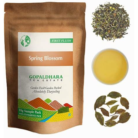 Gopaldhara Darjeeling Finest Rohini First Flush Tea Sample Pouches - Fresh Year Tea 40gms Pack of 4 Teas From the Rohini Tea Estate Highest Elevation 7000 Feet