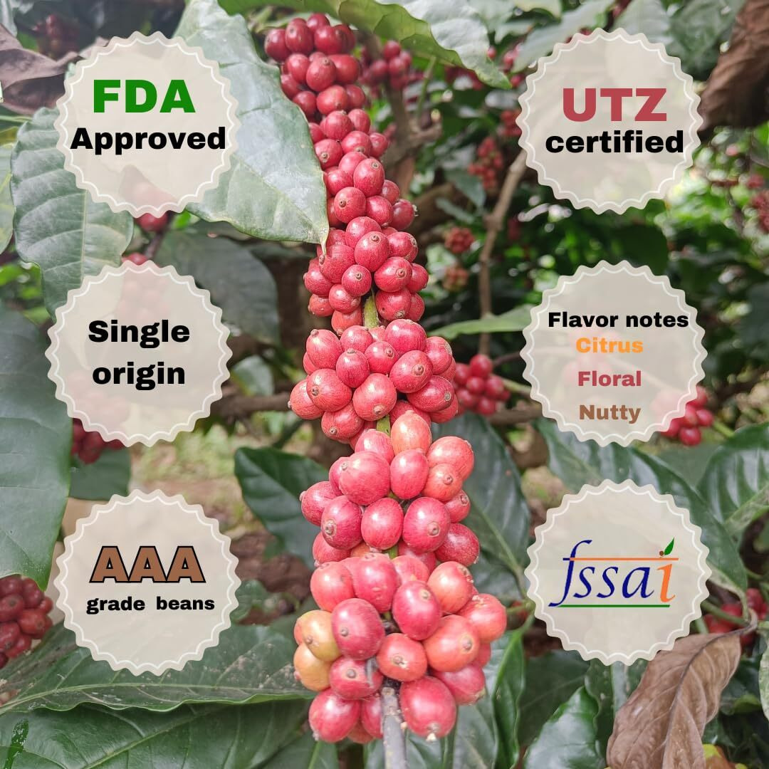 Navees coffee | Fine grind for Moka pot | 100 percent pure Arabica Coffee Powder | Delivered straight from our farm | Single Origin | Medium roast | 0% chicory | 1 kg
