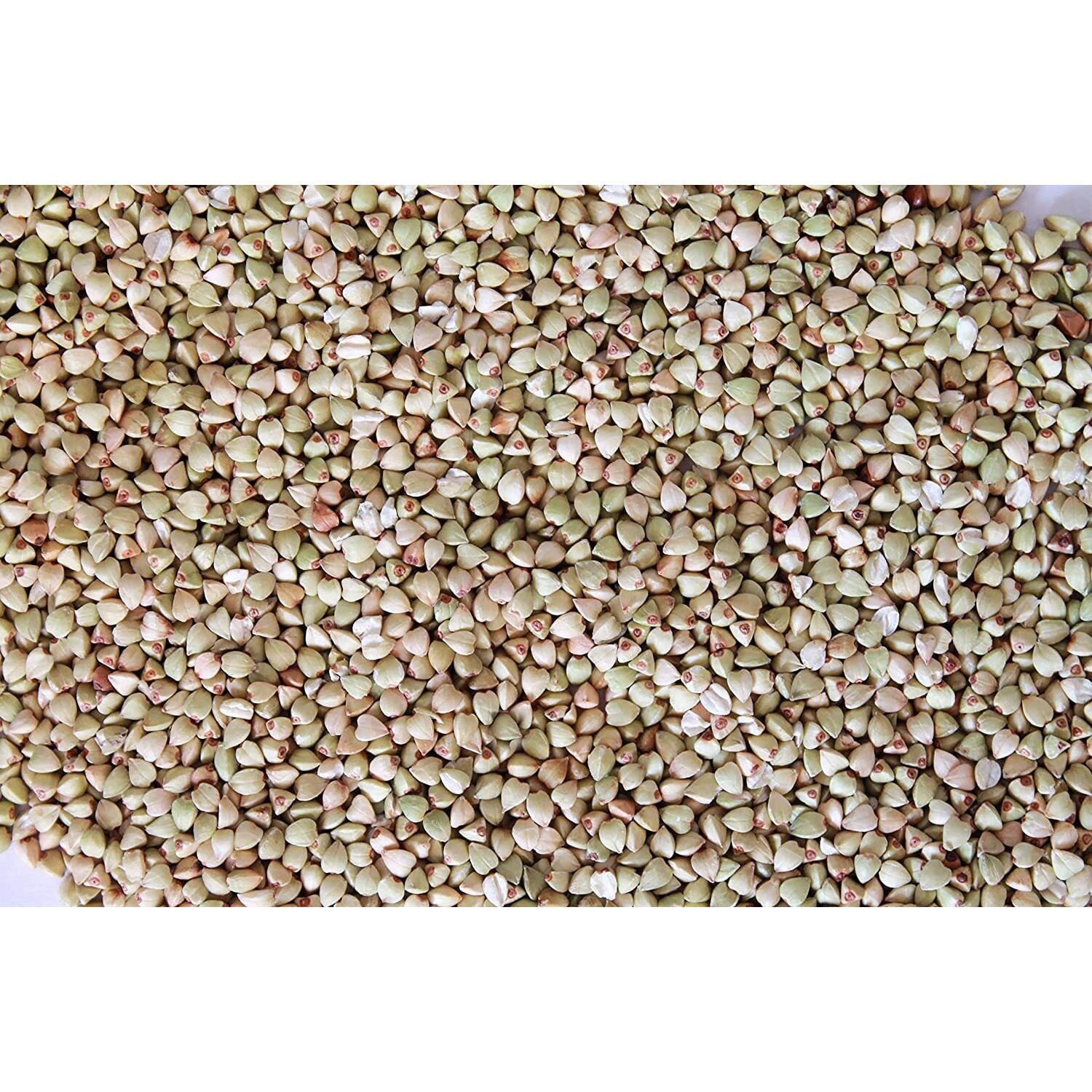 NutriBuck Buckwheat Groats | Hulled | Kuttu-Giri | Gluten-Free (1800 Gram)
