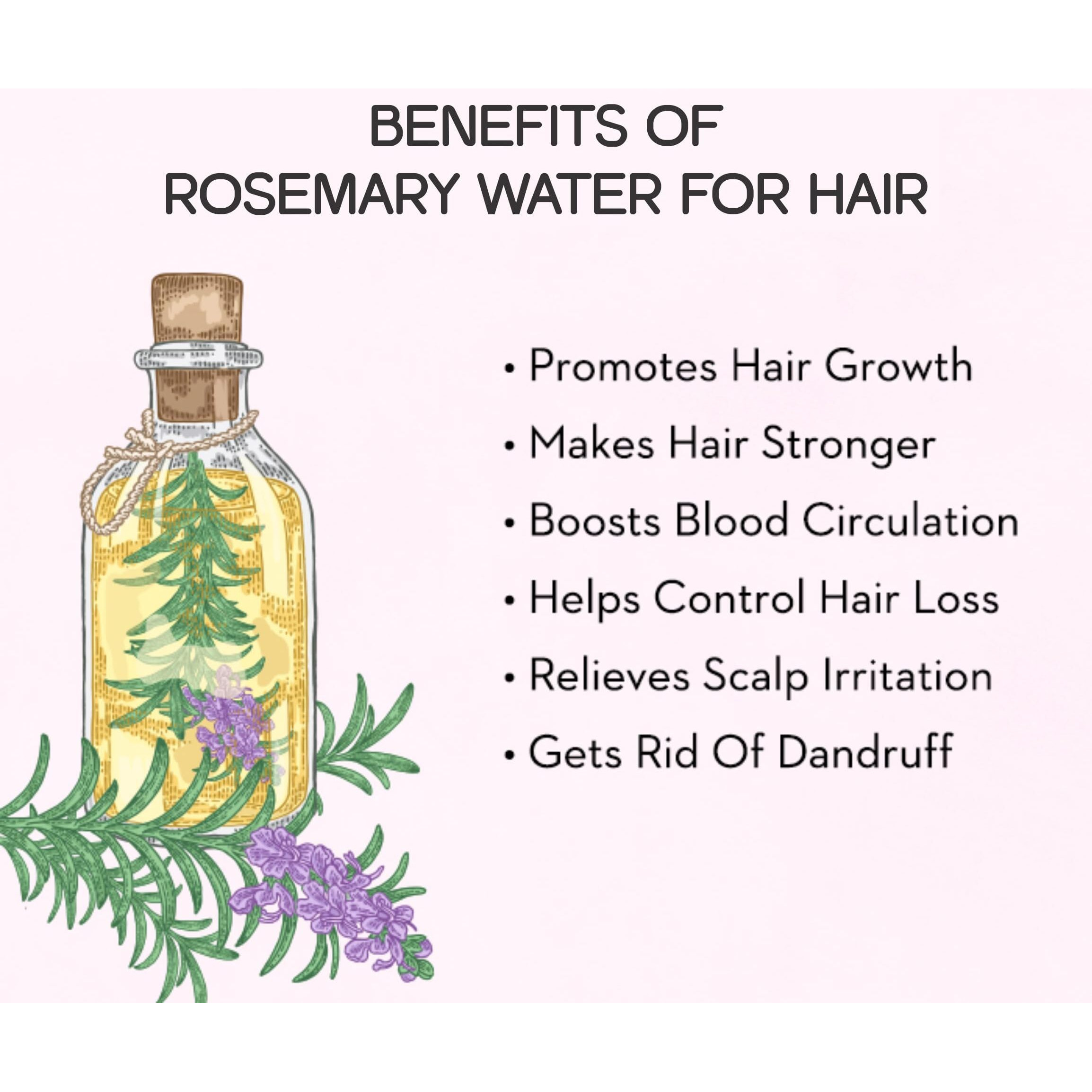Coco Organics Rosemary Dried Leaves With Applicator - 200gm, Rosemary Leaves For Hair Growth, Food & Tea (200 gm)