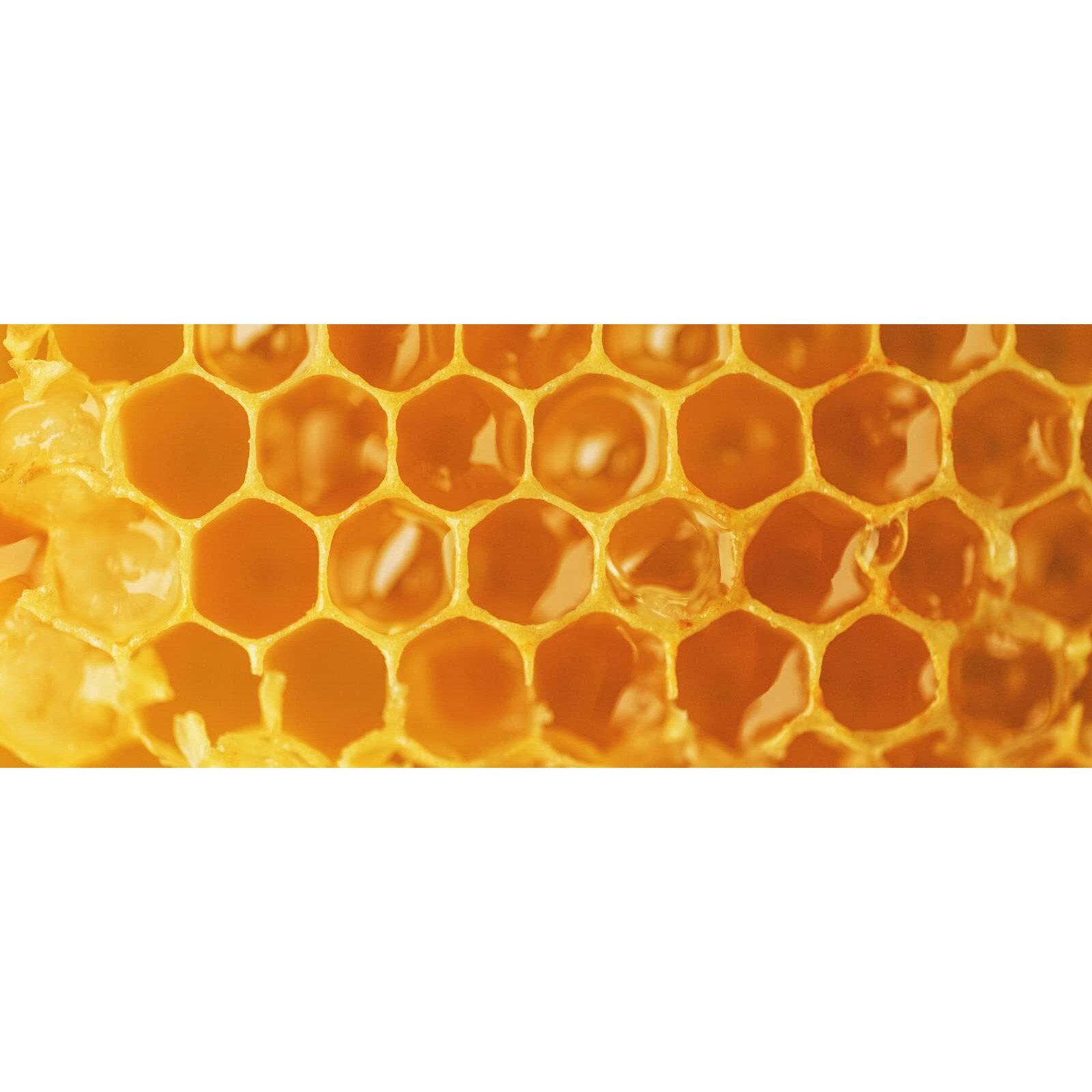 Langnese Pure 100% Acacia Honey with Natural Honeycomb 500g