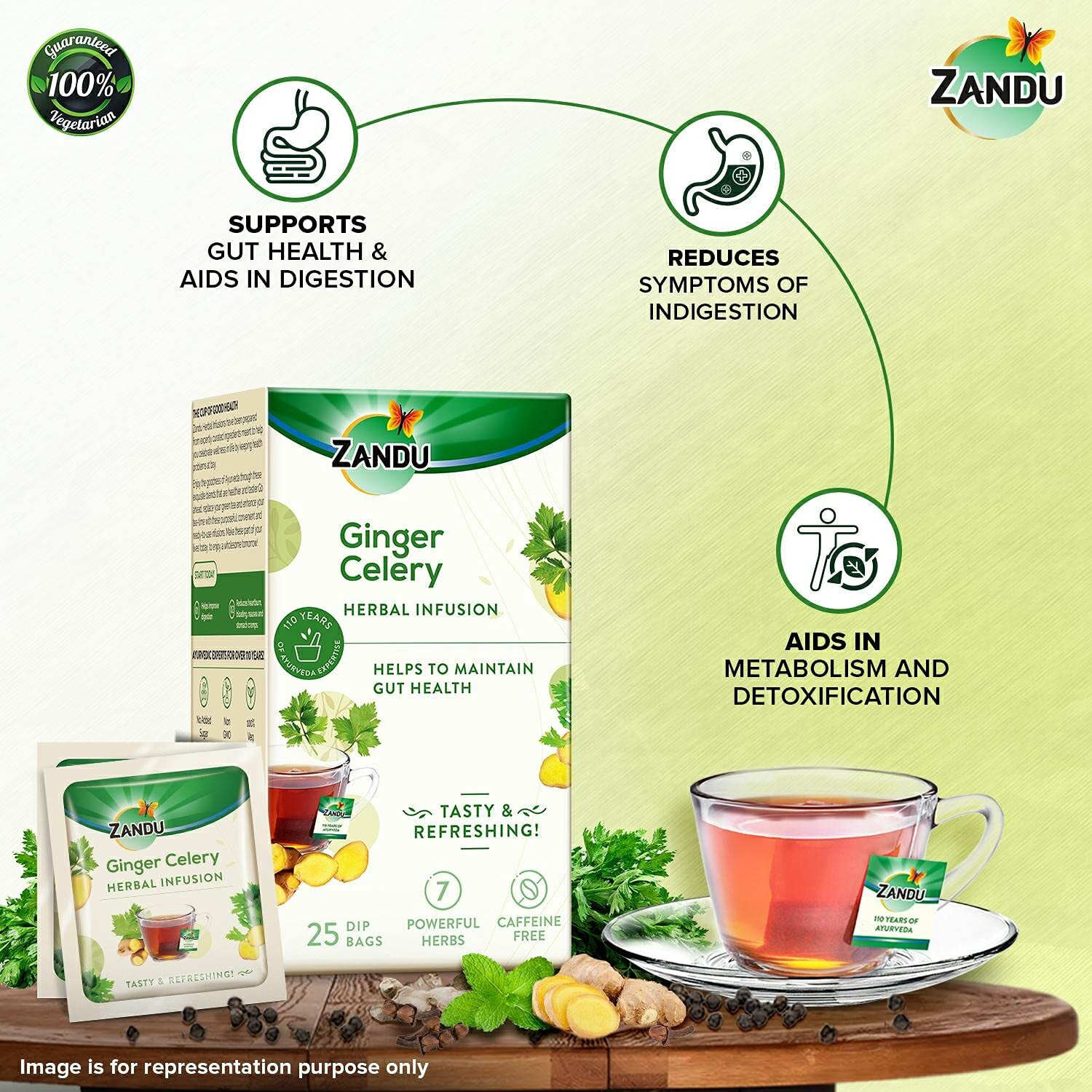 Zandu Ginger Celery Herbal Infusion, a Herbal Tea Enriched with Ayurvedic Ingredients (25 Tea Bags)