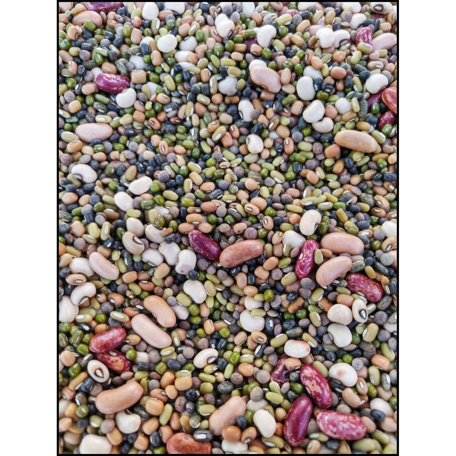 Raindrop Home Products - Eat Right, Live Right Super Food Of Uttarakhand - Authentic Organically Grown Mix Dal Whole/Pachrangi 750 Gm