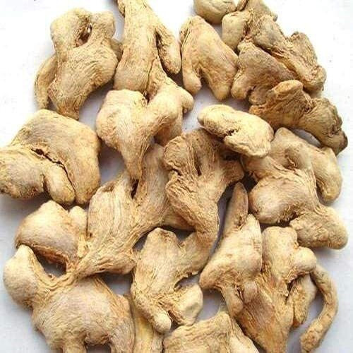 SHAAN-E JAIPUR Dry Ginger/Sukha Adrak/Sunth Whole/Sonth Sabut/Dried Adrakh Fresh and Spicy | Organically Grown | Organic Dry Ginger | Pure Sabut Saunth - 100 gm