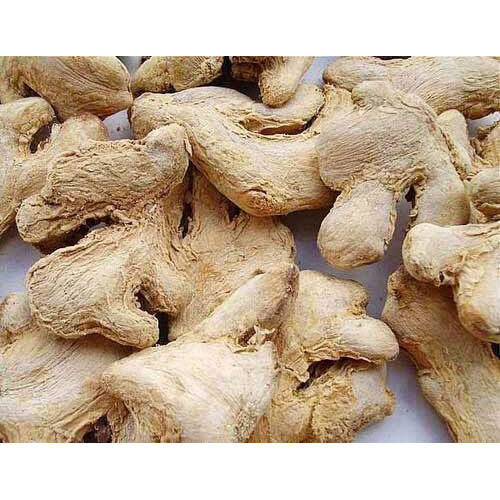 SHAAN-E JAIPUR Dry Ginger/Sukha Adrak/Sunth Whole/Sonth Sabut/Dried Adrakh Fresh and Spicy | Organically Grown | Organic Dry Ginger | Pure Sabut Saunth - 100 gm