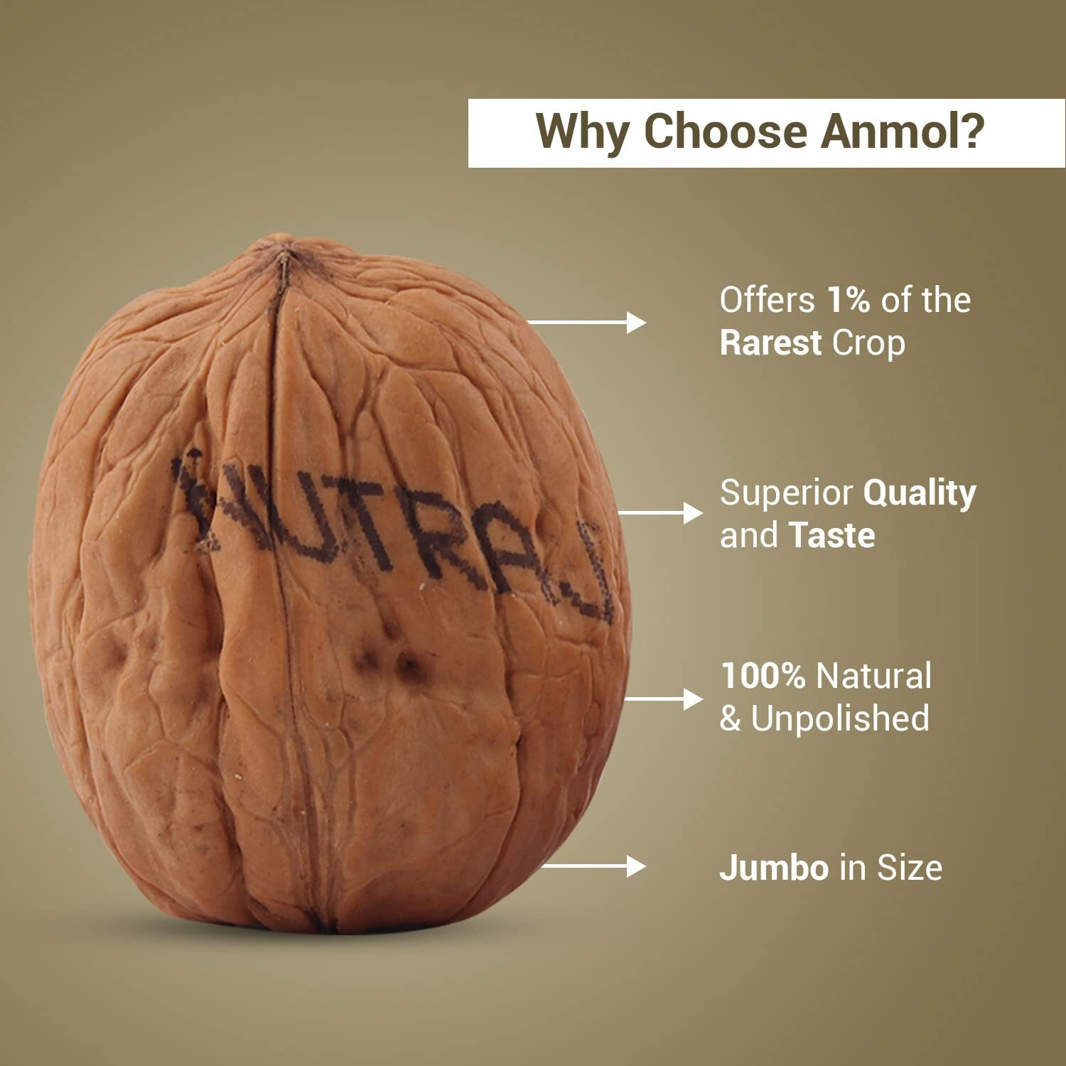 Nutraj Anmol Walnuts Inshell 2000g (2 x 1000g)| Raw Akhrot With Shell | Delicious & Crunchy Walnut | High in anti oxidants | Brain food | Pack of 2