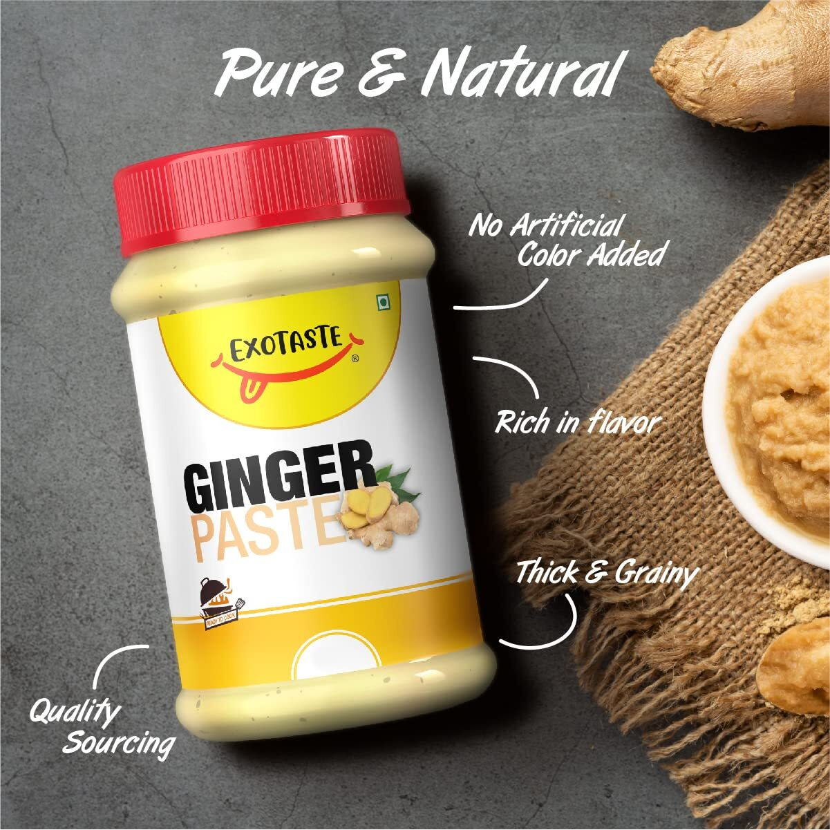EXOTASTE Ginger Paste/Adrak Chutneys for Cooking/Naturally Processed Fresh Ginger Paste with No Added Preservatives (Ginger Chutneys 400gm)