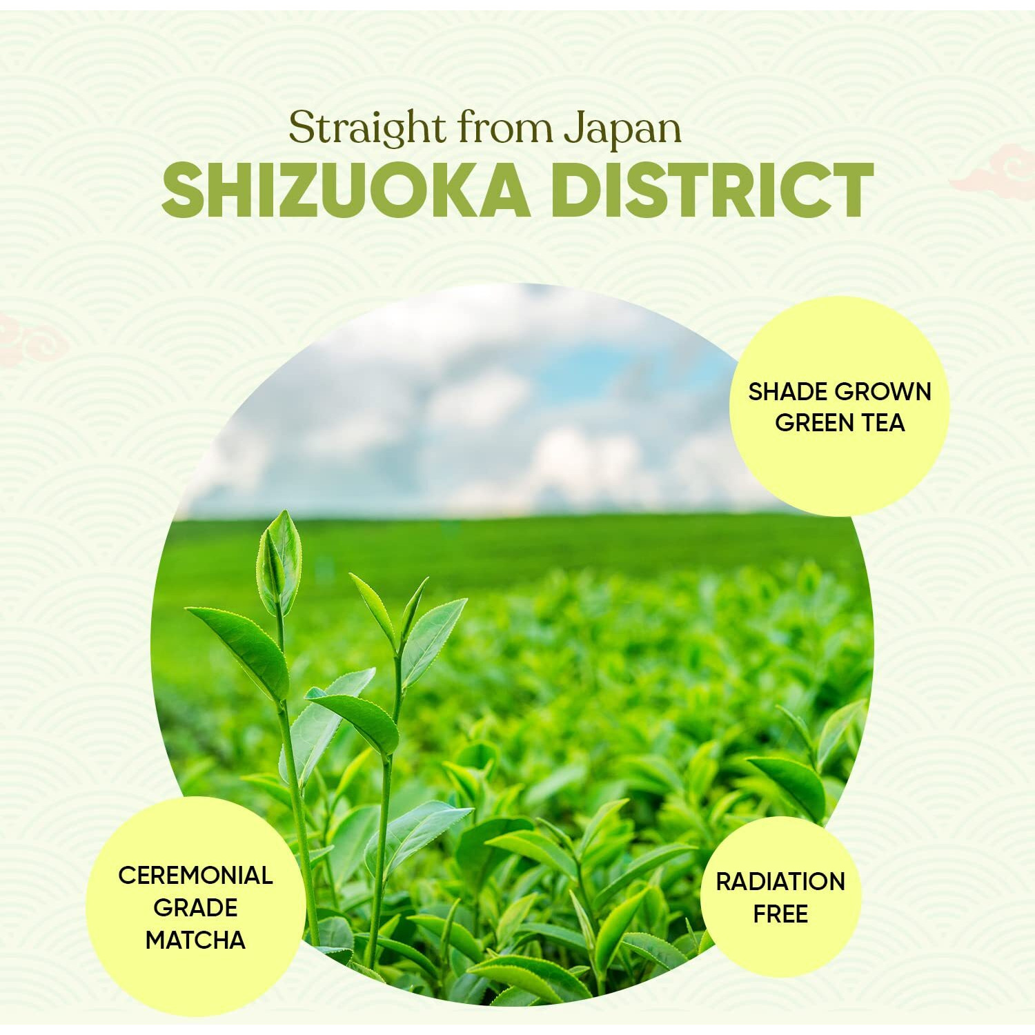 The Tea Shelf, Lemongrass Matcha Green Tea | 100% Authentic | Flavourful Superfood - 10gms