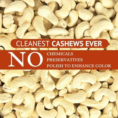 Nourishyum Premium WW320 (Grade A++) Cashews 500g With Reusable Jar | Whole Kaaju | 100% Natural King Size Kaju | Nuts & Dry Fruits | Healthy Snacks | Dry Fruit Gift Pack