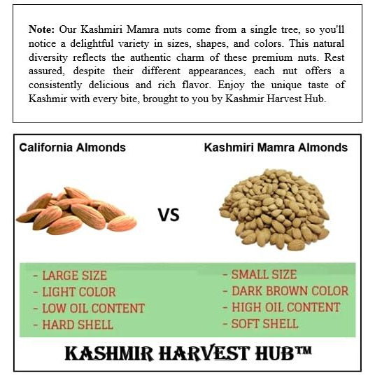 Kashmir Harvest Hub Pure Kashmiri Mamra Almonds | 100% Natural | Authentic | Organic | A++ Grade | Rich Oil Content - 800g