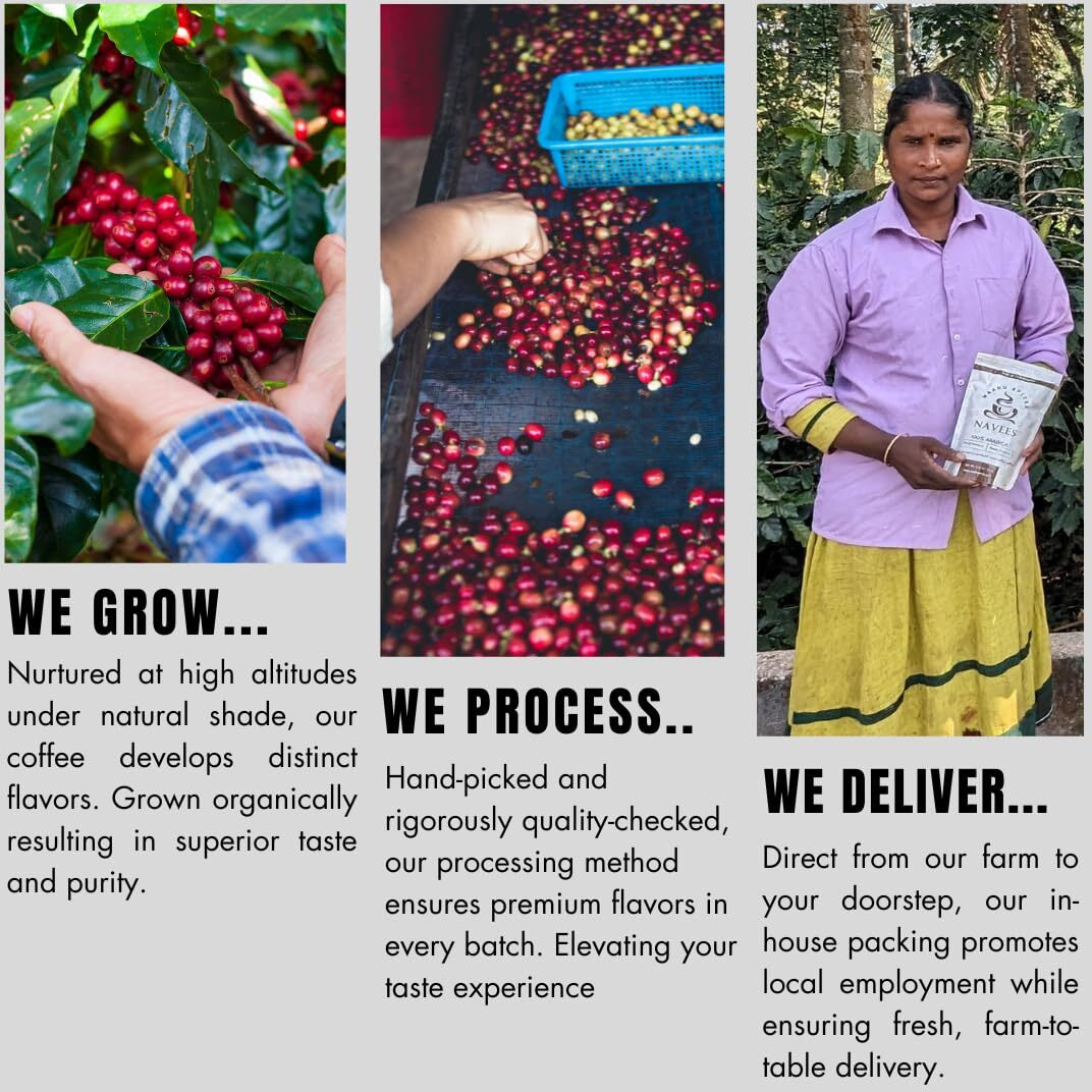 Navees coffee | South Indian Filter coffee | 100 percent pure Arabica Coffee Powder | Medium fine grind | Single Origin | Medium dark roast | 0% chicory | Delivered straight from our Farm | 1 kg