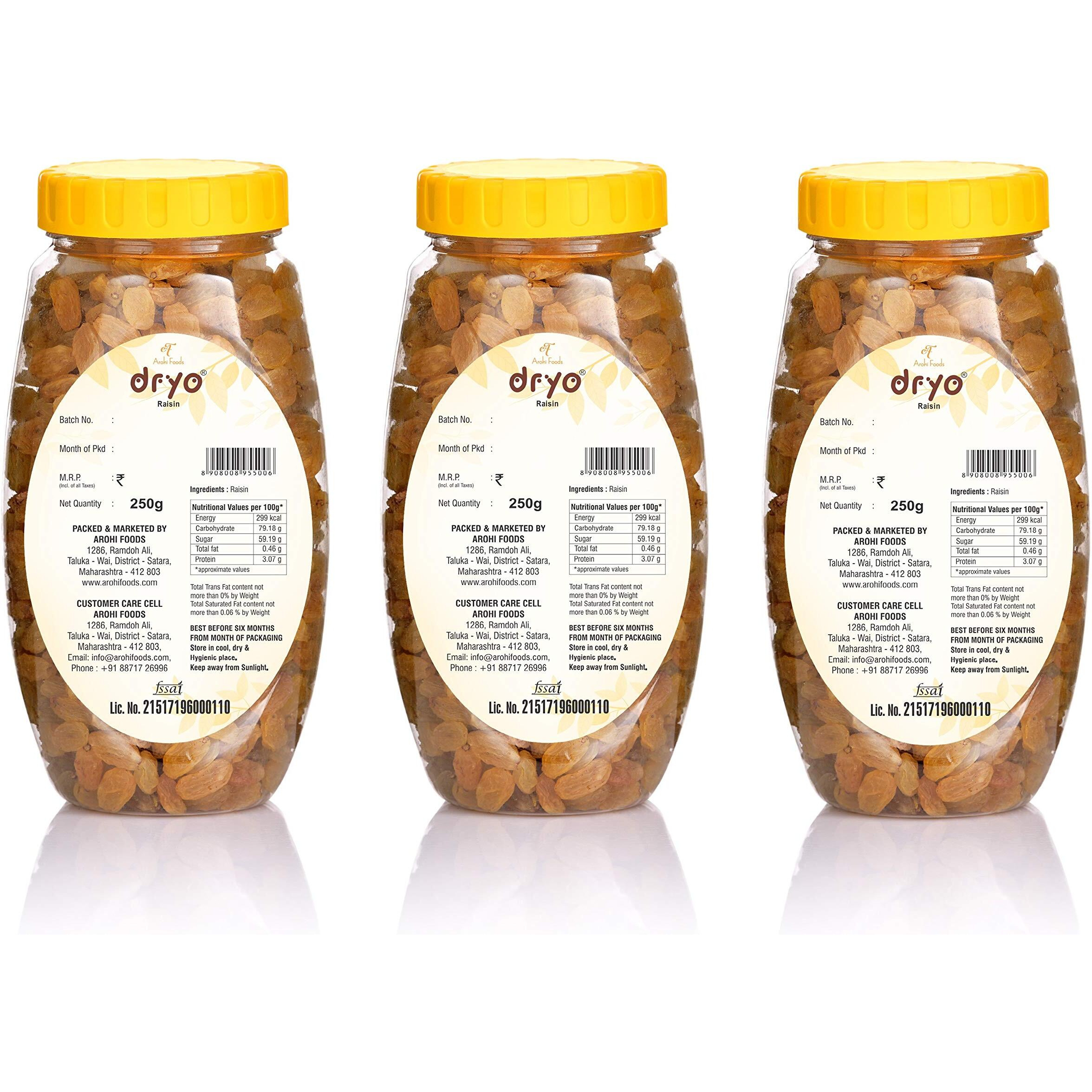 Dryo Dry Fruit Combo Raisin (Pack of 3)