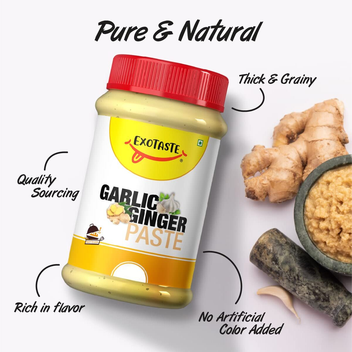 EXOTASTE Ginger Garlic Paste/Adrak Lahsun Chutneys for Cooking/Naturally Processed Fresh Ginger & Garlic Paste with No Added Preservatives (Ginger Garlic 200gm)
