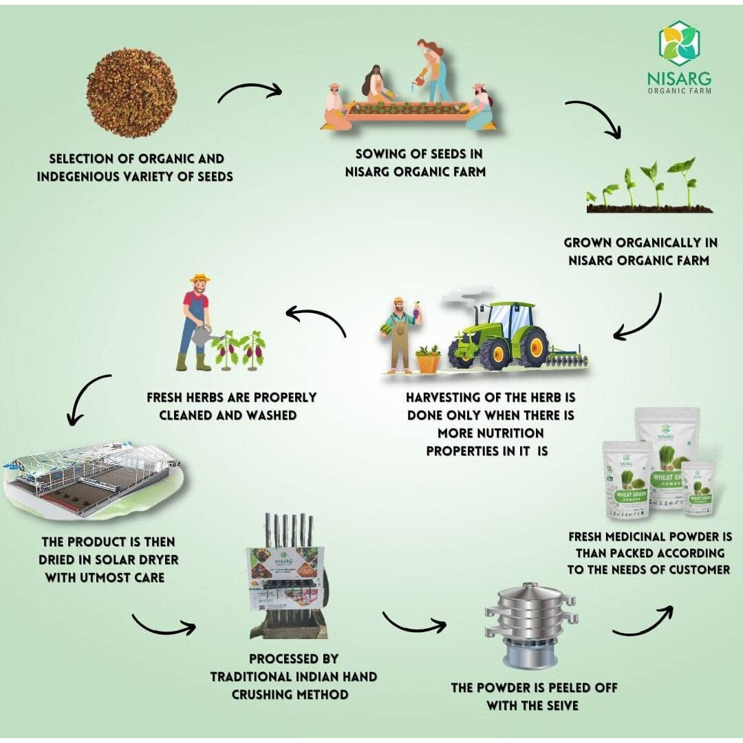NISARG ORGANIC FARM Bottle Gourd Powder Lauki Doodhi Powders Pure Organic Natural Healthy and Nutritious Traditional Method Made Add in Protein Shake and Juices (1Kg)