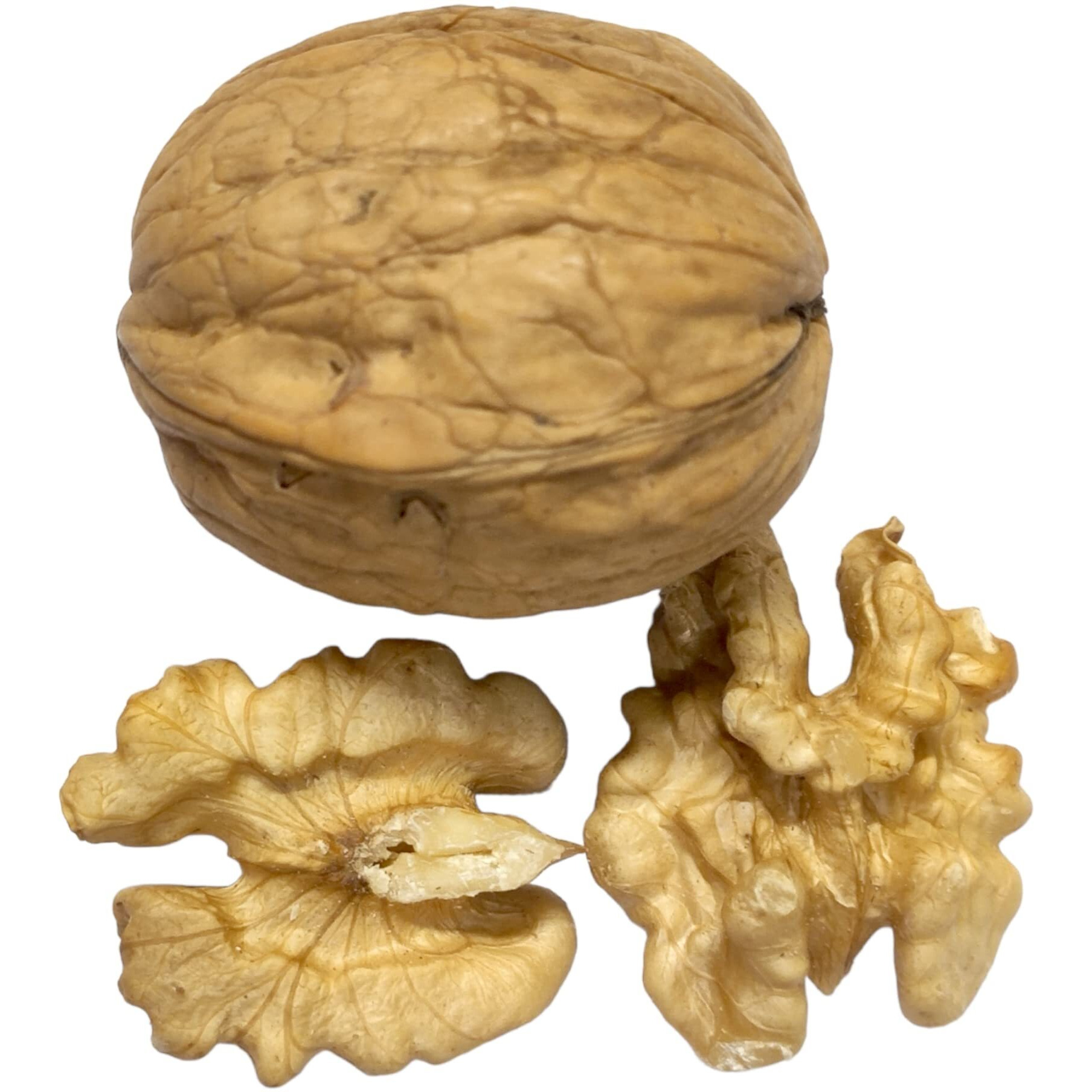 Dry Fruit Hub Chilean Walnut 500gm Without Shell Grade 1, Akrot, Akhrot Without Shell, Acrot Kernels ,Akrut, Akhrot Giri, Walnut Kernels