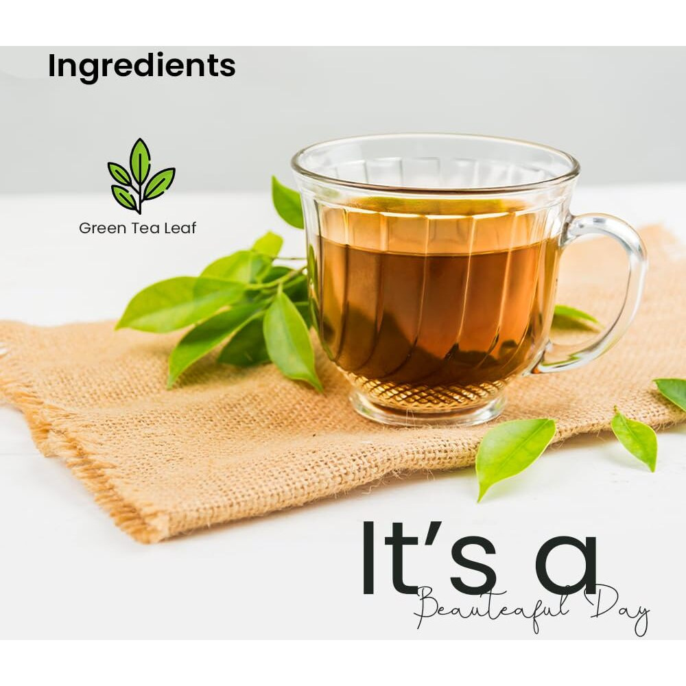 FRESHLEAF Green Tea Loaded With Anti-Oxidants, 100% Whole Long Leaf Naturally Handpicked Green Tea, 20 Pyramid Tea Bags Each Pack (Himalayan Green Tea, 40 Tea Bags) (60 Tea Bags)