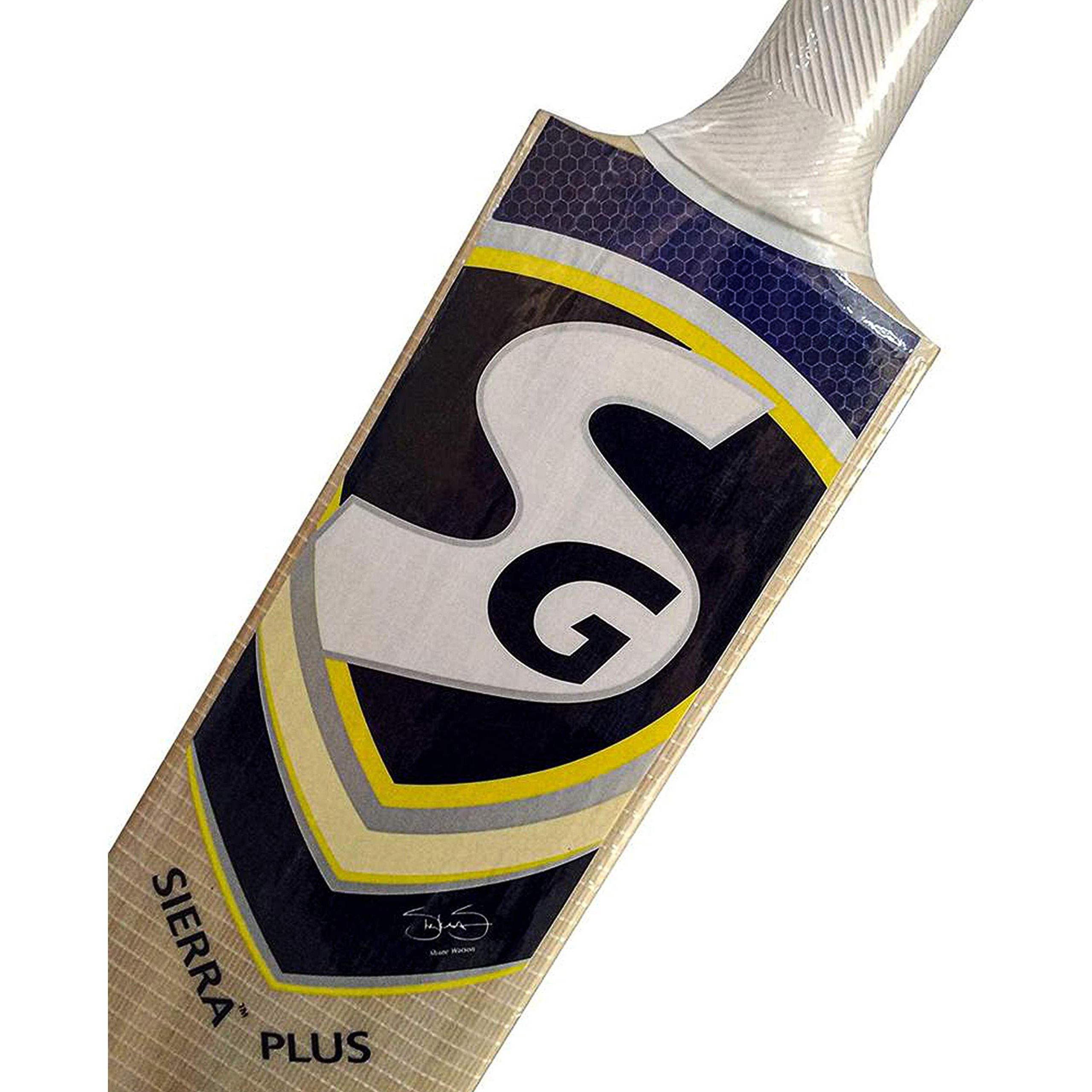 SG Sierra Plus Kashmir Willow Cricket Bat ( Size Size 5,Leather Ball )