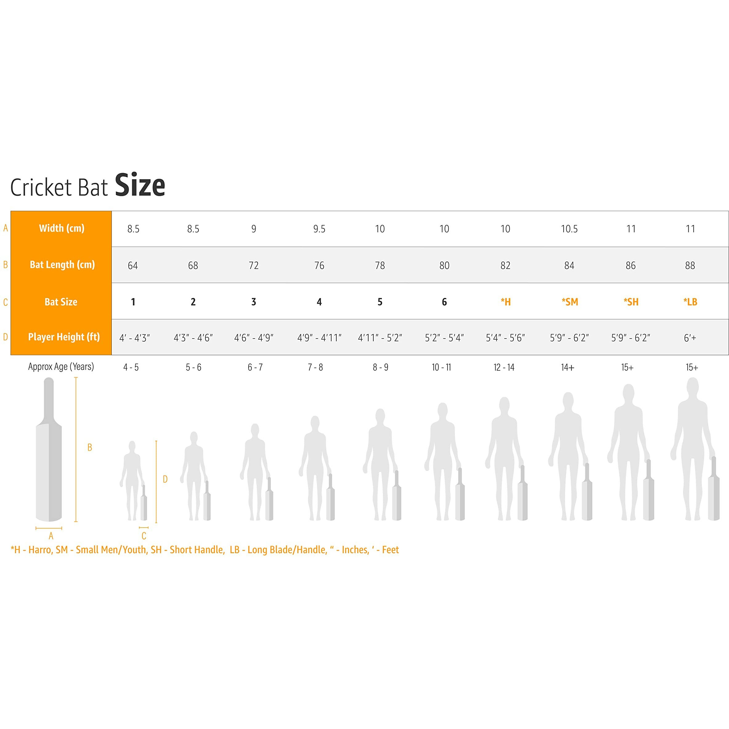 Sg Sierra Plus Kashmir Willow Cricket Bat ( Size Size 4,Leather Ball ), Wood, Multicolour