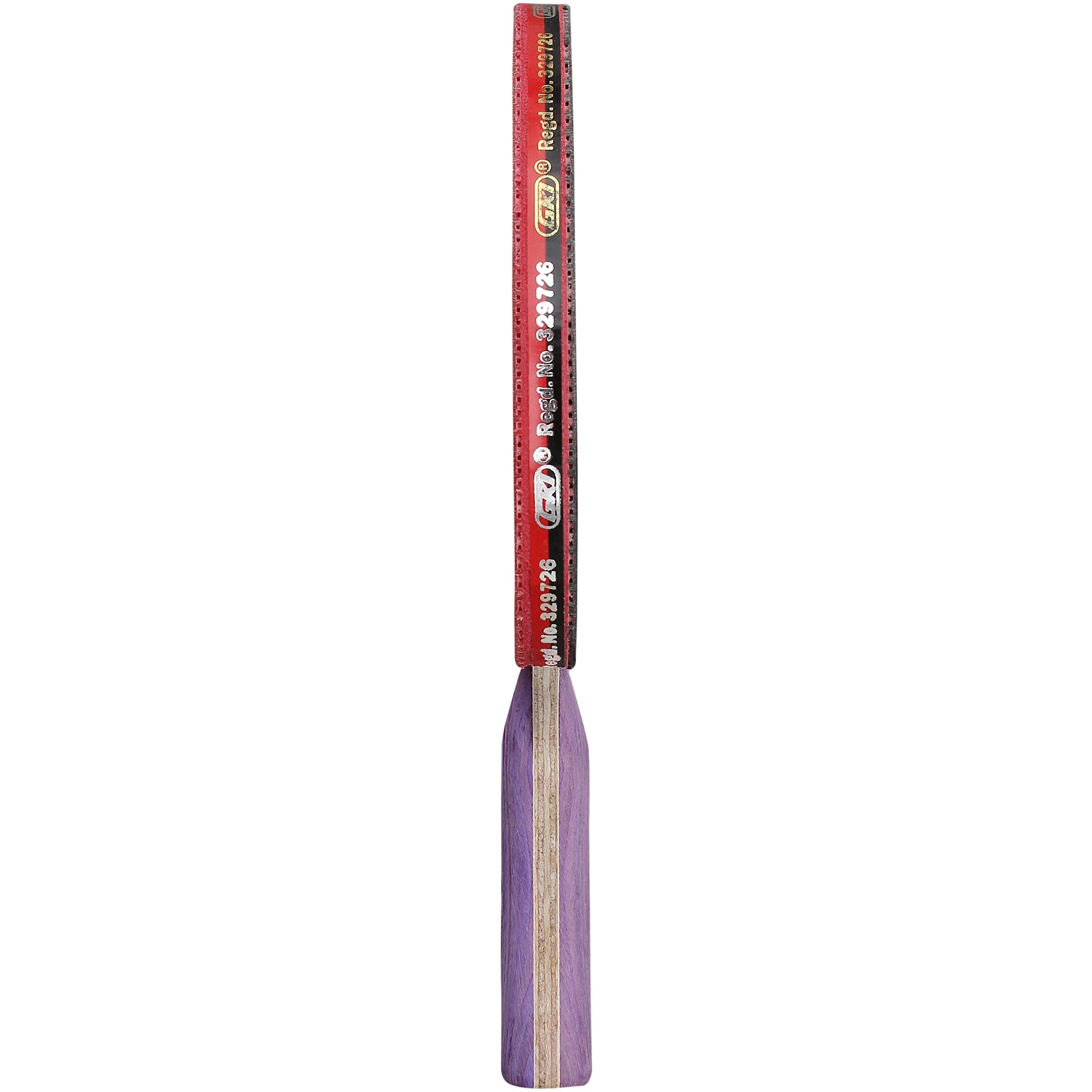 GKI Euro V Wooden Table Tennis Racquet (Multicolor, Pack of 1)