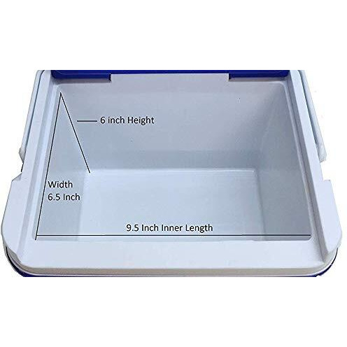 ARISTO Plastic Insulated Chiller Ice Box, 6 Litre, Red or Blue