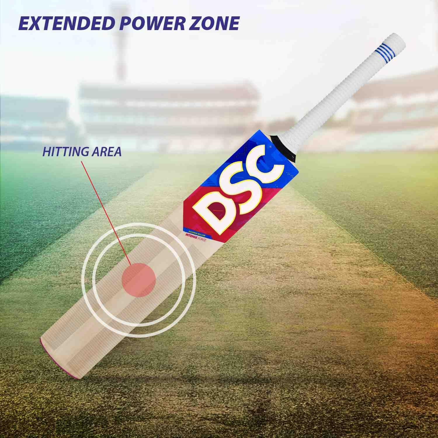 DSC Intense Force Kashmir Willow Cricket Bat for Leather Ball |Size-3 | Light Weight | Free Cover|