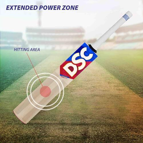 DSC Intense Force Kashmir Willow Cricket Bat, Size - 2