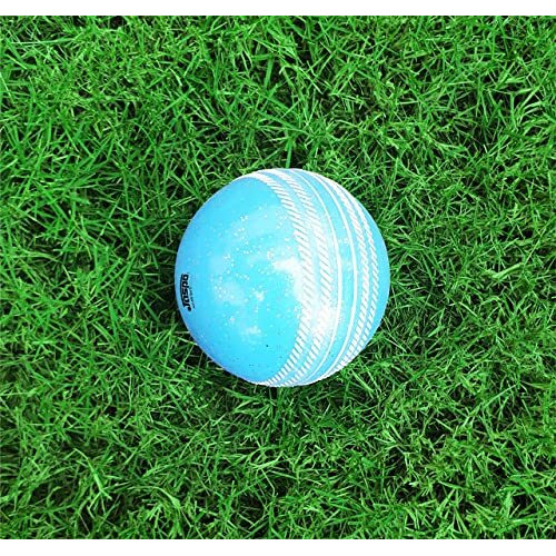 Jaspo T-20 Soft Cricket Balls (Pack of Three) 110 Gm. (Sparkle Multi)