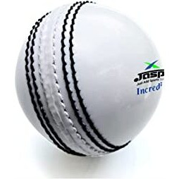 jaspo IncrediBall Soft T20 Cricket Training Ball Quantity-1 Indoor/Outdoor Play and Cricket Practice (229 cm Circumference), PVC Material, Colour-White