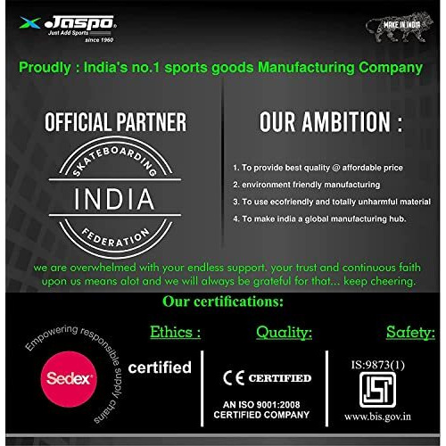 Jaspo Try-Out Practice Indian Maple 31 x 8 Inches with Aluminium Truck Double Kick Concave Design for Beginners Suitable for Age Group Upto 13 Years-Made in India (Killer Clown) multi