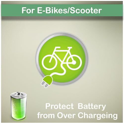 Timer Plug for charger of E-Bike/E- Scooter Made in India ELEQUA