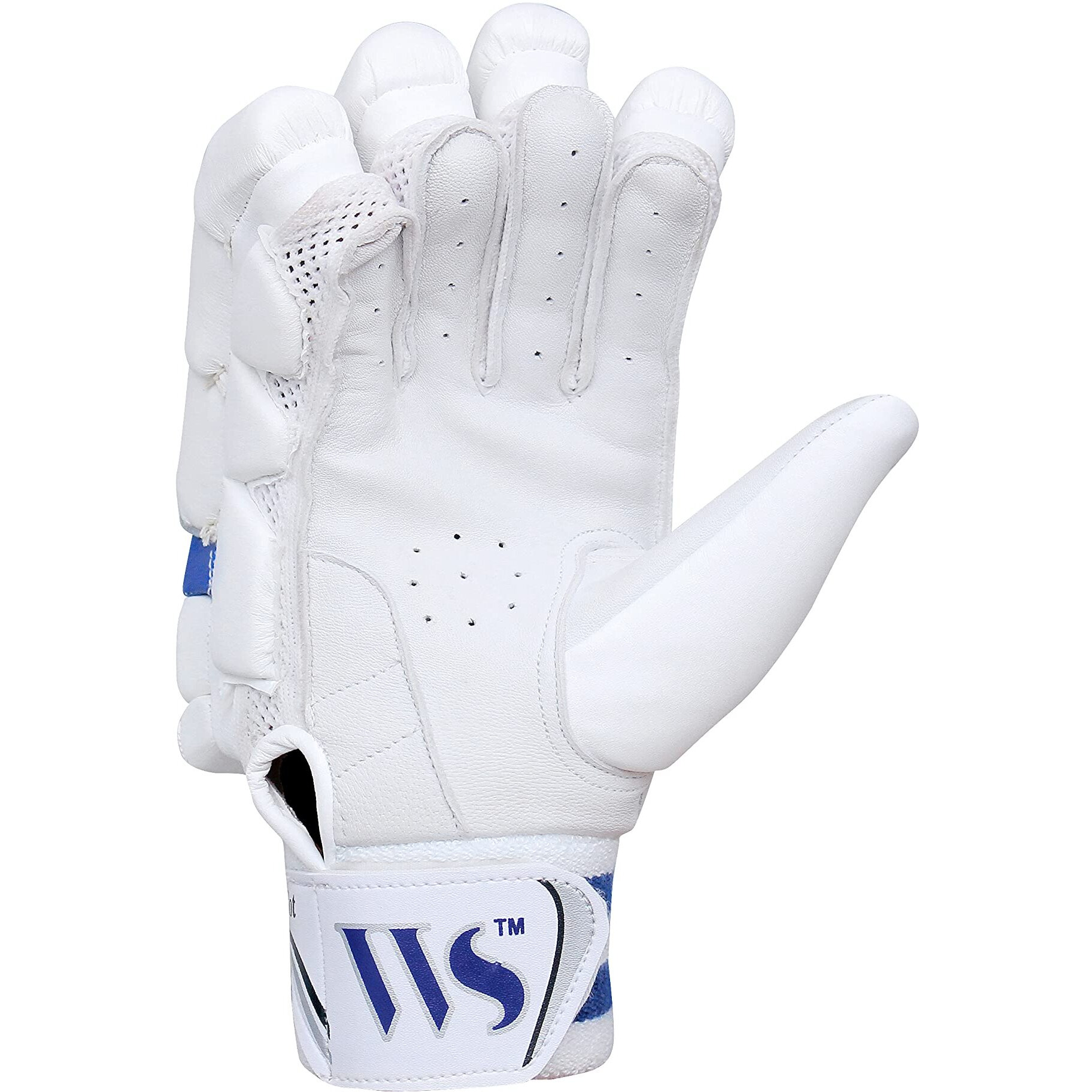WHITEDOT SPORTS Leather Alpha Levlon Cricket Batting Gloves Idol For Youth/Medium, Right Hand, White