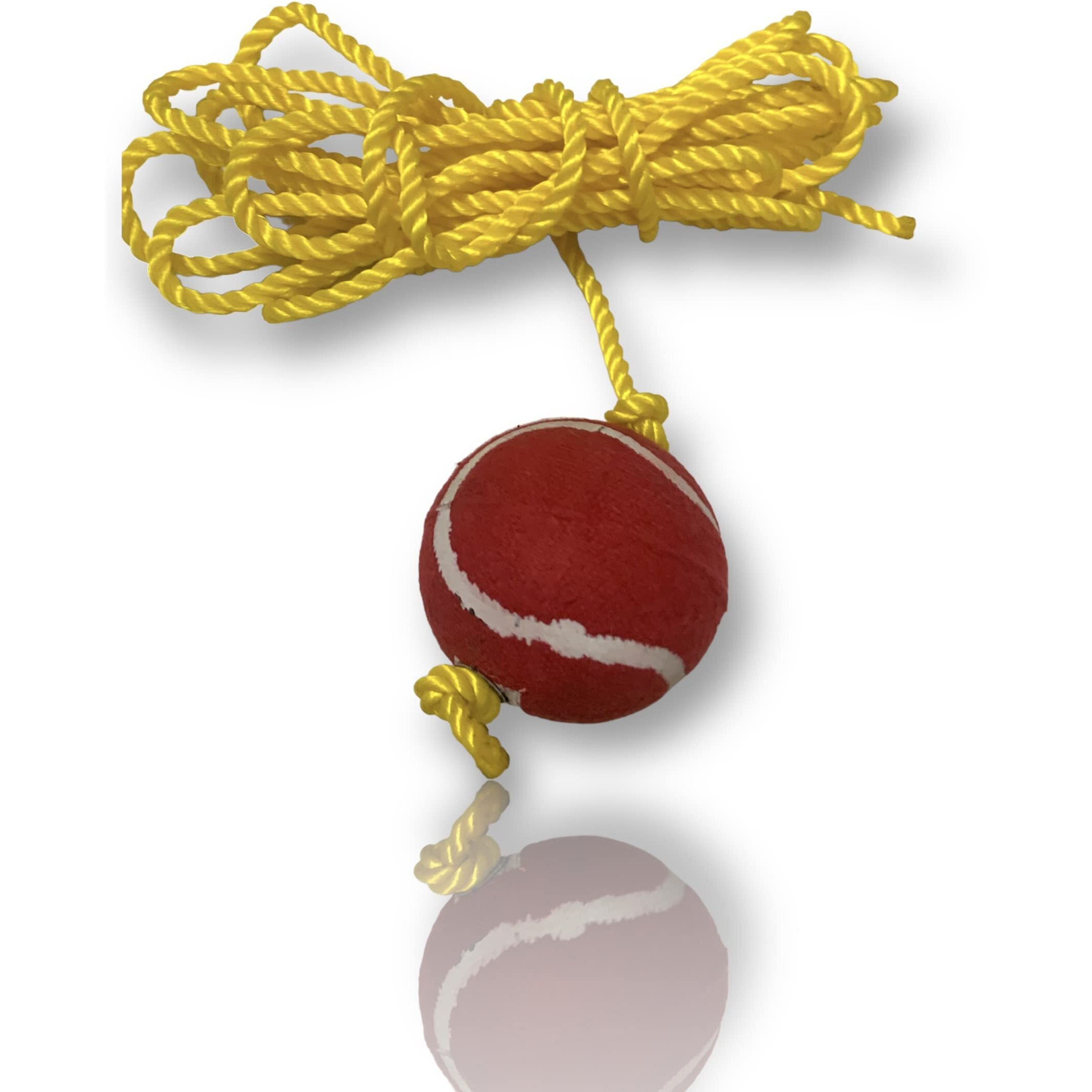 Neo Hanging Cricket Tennis Ball_3.5 Meters (Pack of 1)