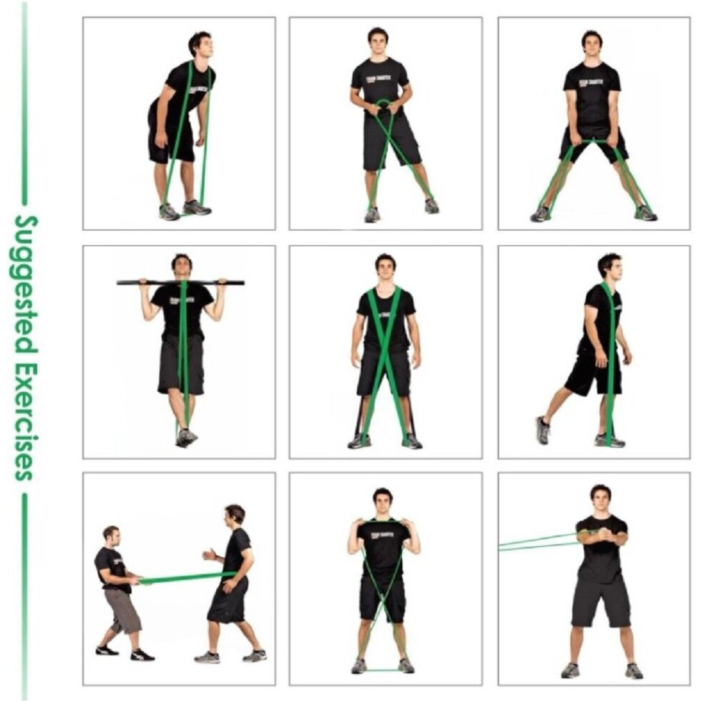 Fitlastics Resistance Loop Bands Set for Squats, Stretching, Strength Training Exercises, HIPS & Glutes Heavy Workouts for Men & Women (Pink Loop + Green Pullup Band Combo)